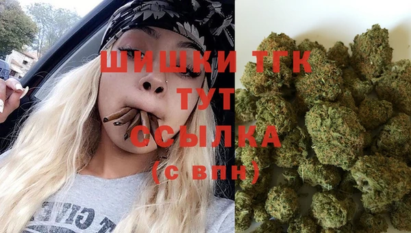 spice Касимов
