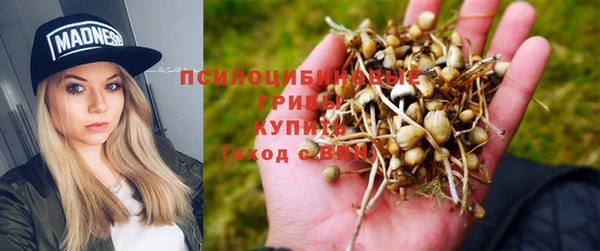 spice Касимов