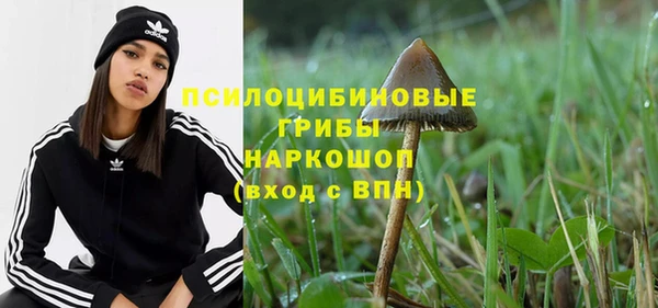 таблы Карпинск