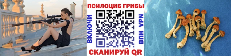 Купить  Духовщина  Псилоцибиновые грибы ЛСД 